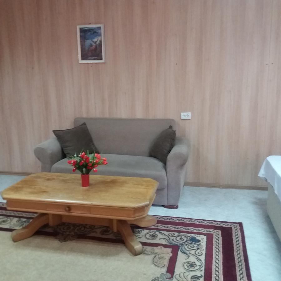 Hostel Anna Borjomi Εξωτερικό φωτογραφία